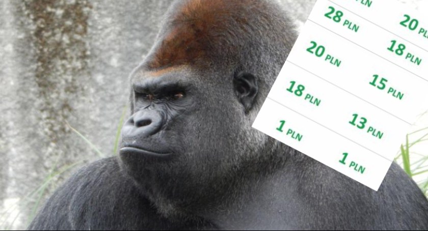 Wejdźmy do świata zwierząt. Ile zapłacimy za bilet do Warszawskiego ZOO?