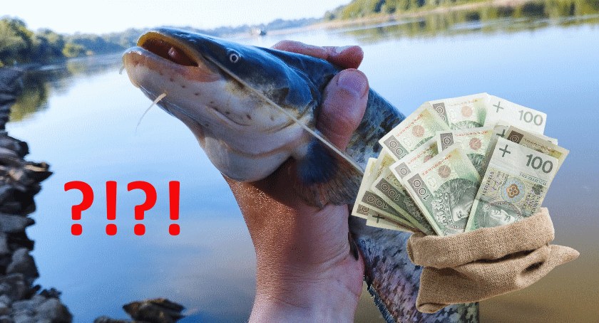 W 2023 jeszcze więcej zapłacimy za wędkowanie
