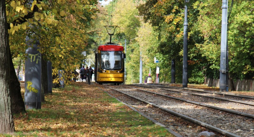 Tramwaje kontra liście – prawdziwa zmora motorniczych