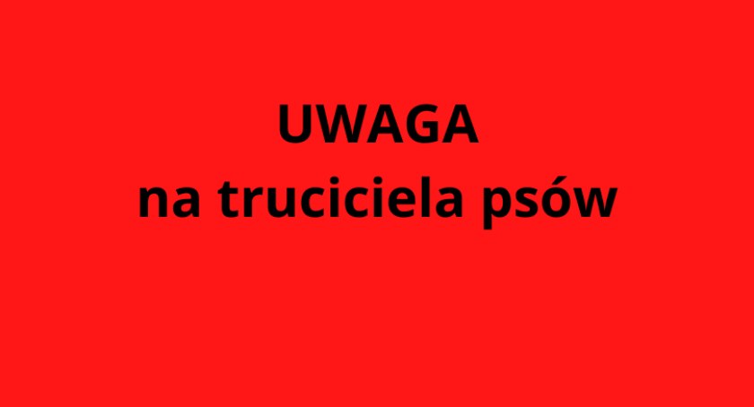 UWAGA, osiedle Wilno: ktoś truje psy! Policja bada sprawę