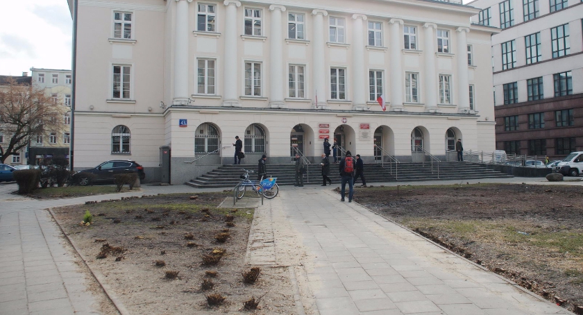 Dyskutujemy o wycince drzew
