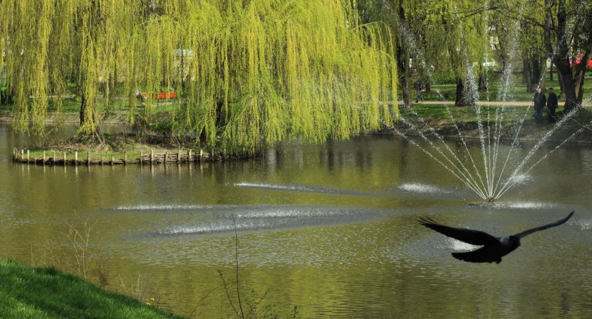Gdzie warto się wybrać w majówkę: Park Dernałowiczów w Mińsku Mazowieckim (ZDJĘCIA)