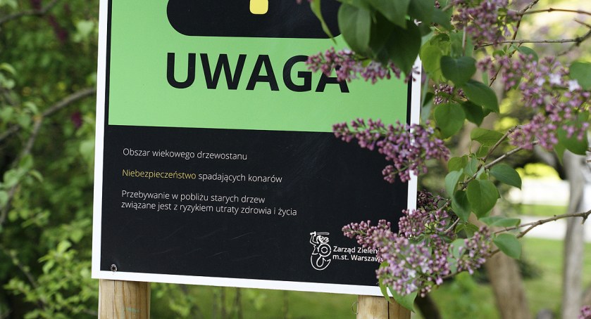 Park Ujazdowski, plac zabaw i wiewiórki