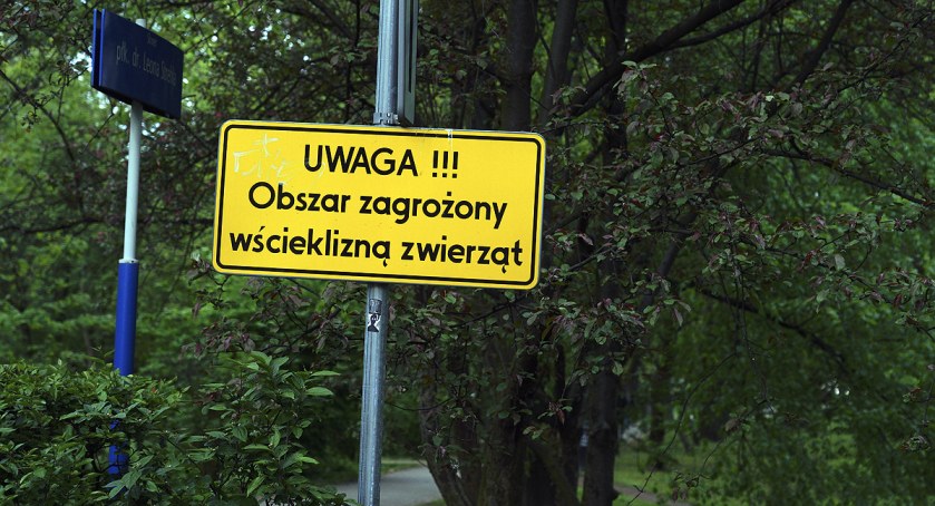 Uwaga! Wścieklizna 