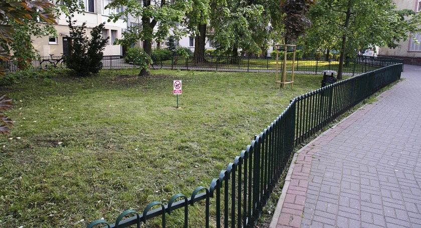 Sprzątaj po swoim psie