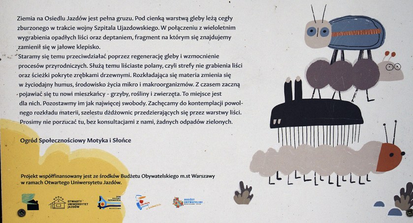 Szelest dżdżownic i grzyby w Śródmieściu