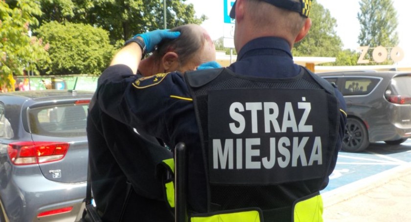 Widelec kontra siekiera. Tak się kłócą na Pradze