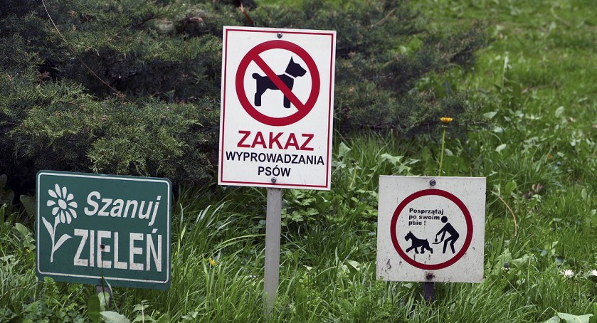 Szanuj zieleń włącz myślenie