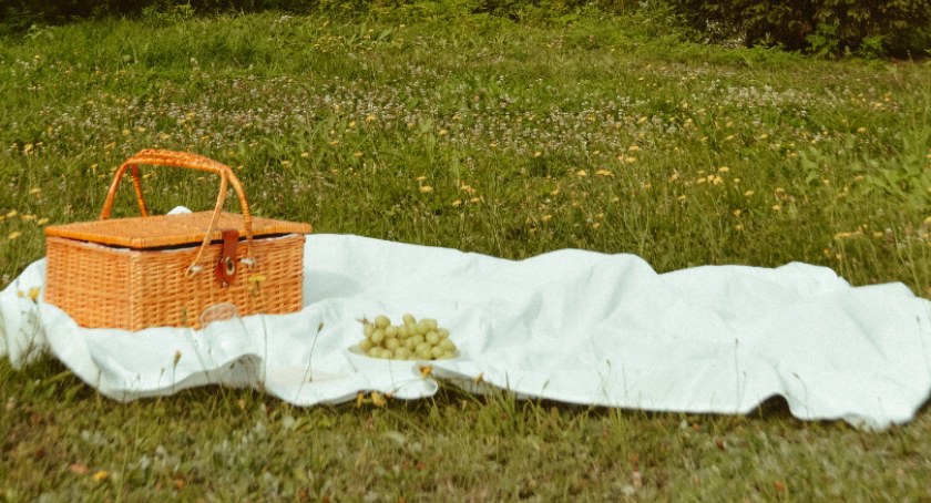 Warszawskie kocykowanie na trawie odbędzie się w kilku parkach