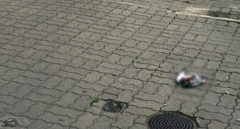 Bestia zaatakowała na Woli