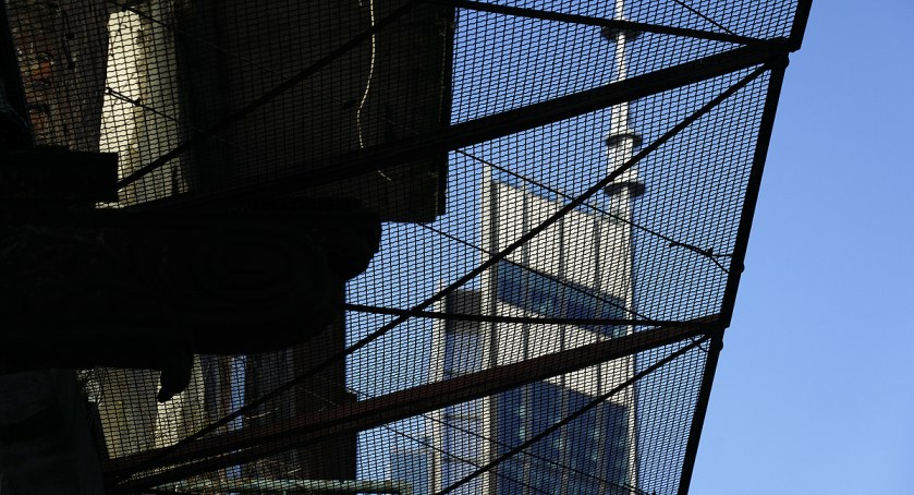 Architektura na Woli