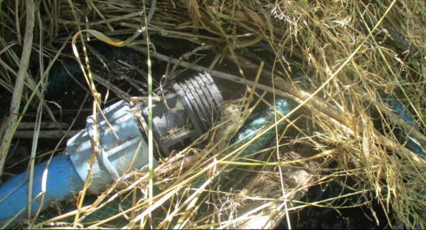 Nielegalna instalacja ukryta w zaroślach