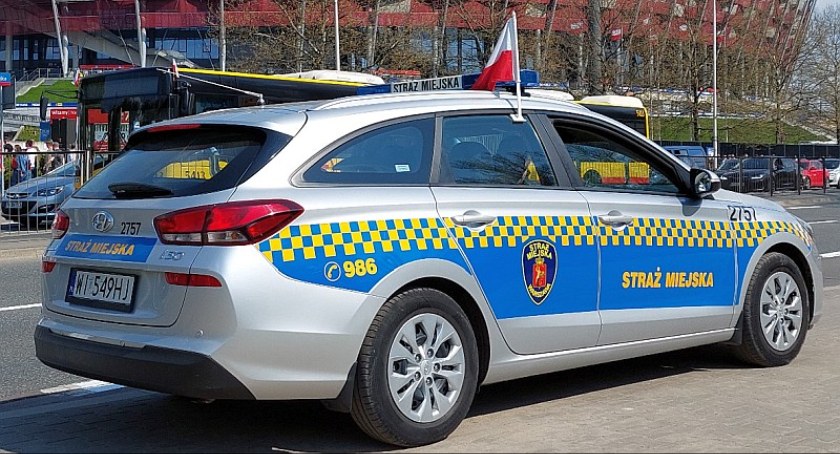 Pijany spał, w jego torbie znaleziono... gołębie
