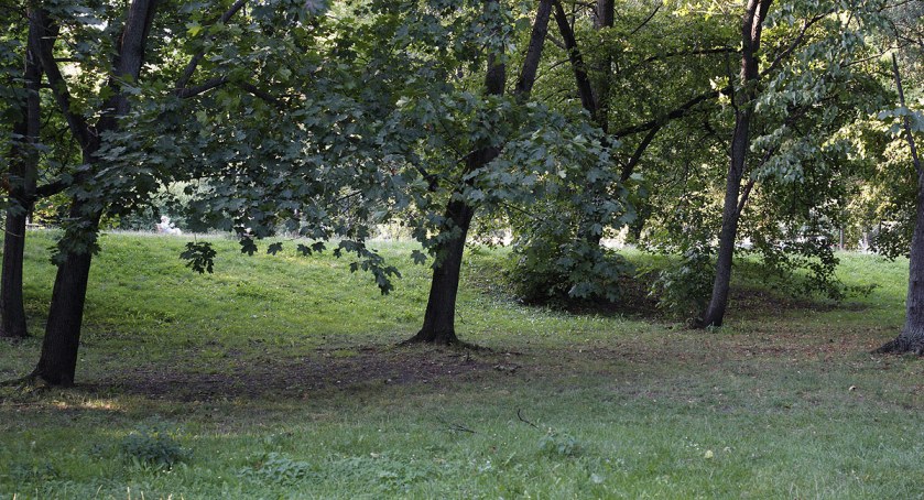 Pomiędzy Browarną a Dobrą