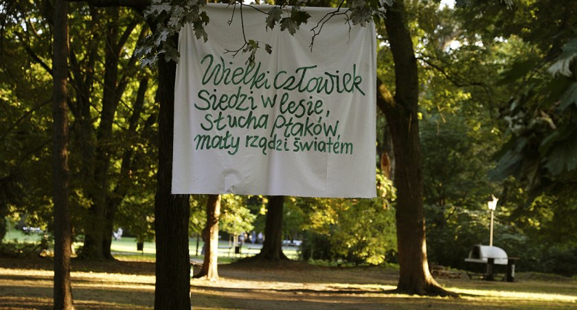 Ogród Saski i nadrzewne instalacje