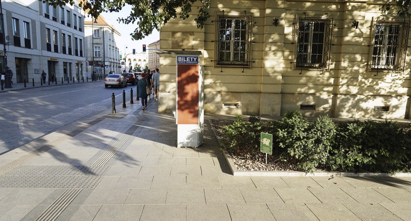 Plaga szczurów w Warszawie