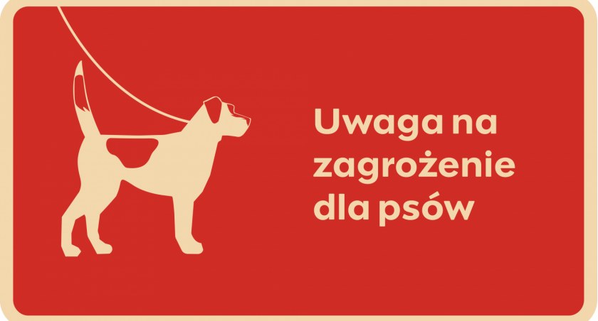 UWAŻAJCIE na swoje psy! Pojawiła się groźna bakteria