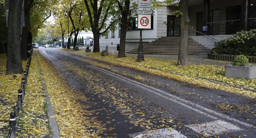 Tajemniczy wirus i prognoza pogody