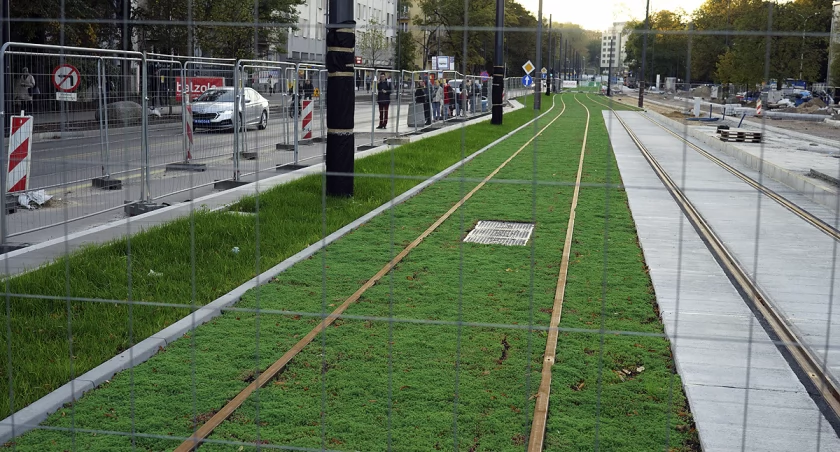 Zielony Mokotów