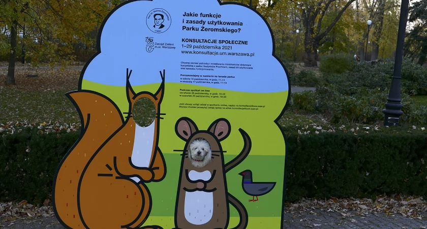 Konsultacje społeczne