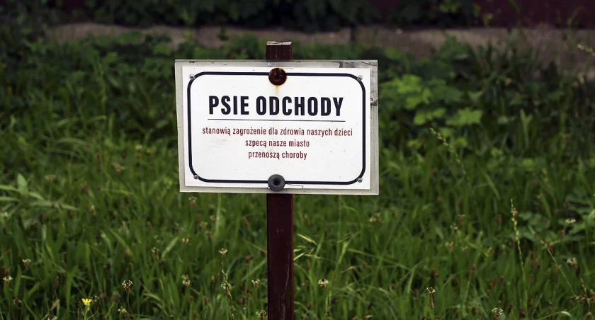 Poważne ostrzeżenie dla strzelających w Sylwestra