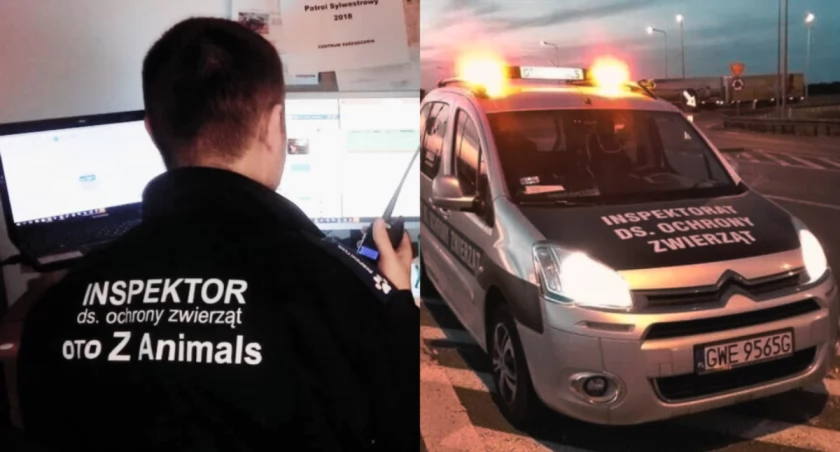 Sylwestrowy patrol jeździ po Warszawie. OTOZ Animals pomaga przerażonym zwierzakom