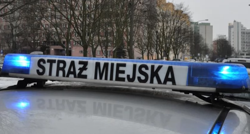Ledwo przytomny 14-latek leżał na trawie