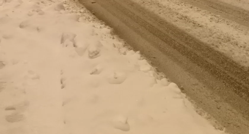 Rowerzyści ważniejsi od pieszych?