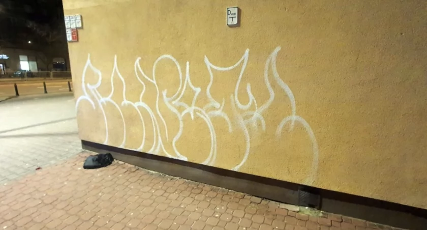 Bazgrała po ścianie i próbowała uciekać przed funkcjonariuszami