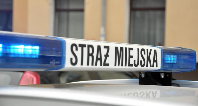 Leżał za przystankiem. Miał przy sobie coś, czego nie powinien