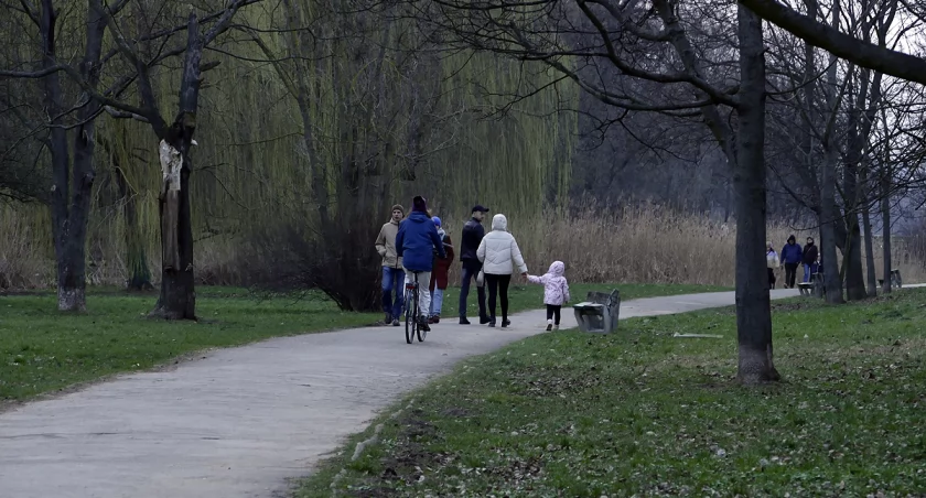 Rowerzyści na parkowych alejkach