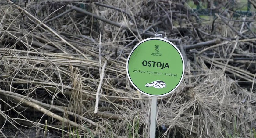 Ostoja na Powiślu