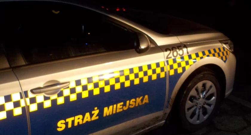 Zatrzymany do kontroli miał na sumieniu coś poważniejszego