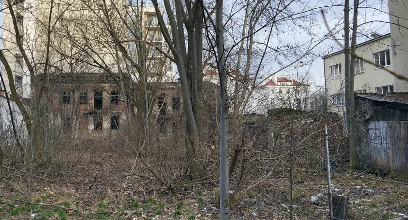 Warszawskie zabytki. Ulica Stępińska