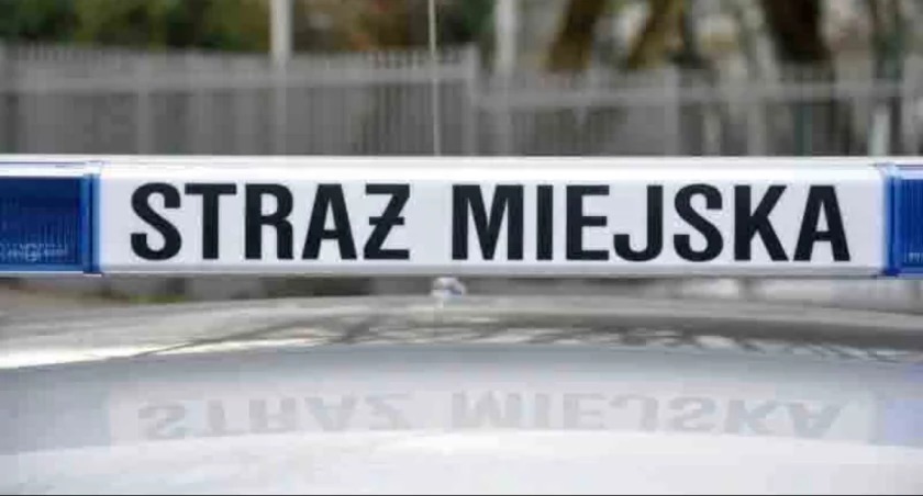 Potrącił pieska i... próbował uciec 