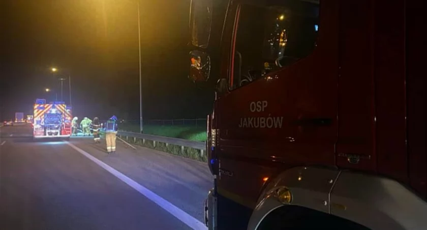 Zderzenie z łosiem na autostradzie. Pięć osób poszkodowanych