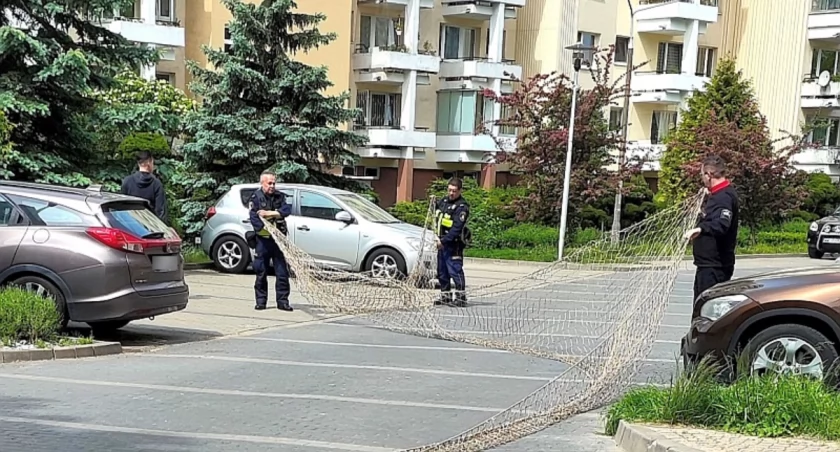 Operacja o pseudonimie: Złapać Gościa 
