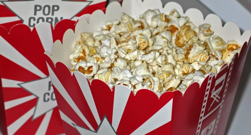 Kino plenerowe 2024. Gdzie obejrzymy najlepsze filmy? [ROZPISKA SEANSÓW]