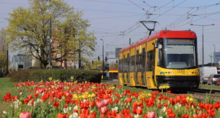 Boże Ciało. Jak będą jeździć tramwaje i autobusy?