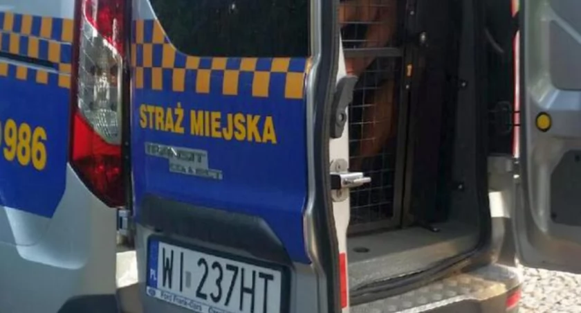 Strażnicy przejęli interwencję