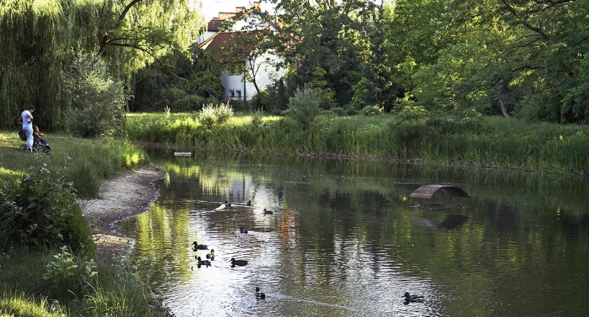 Zagrożone Jezioro Sieleckie