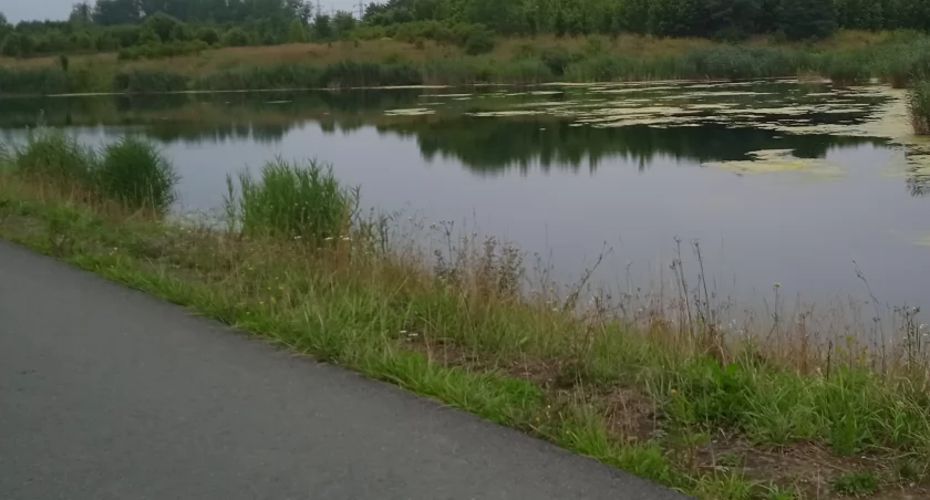 Kąpieliska w Warszawie i okolicach. Z których można korzystać w tym roku? 