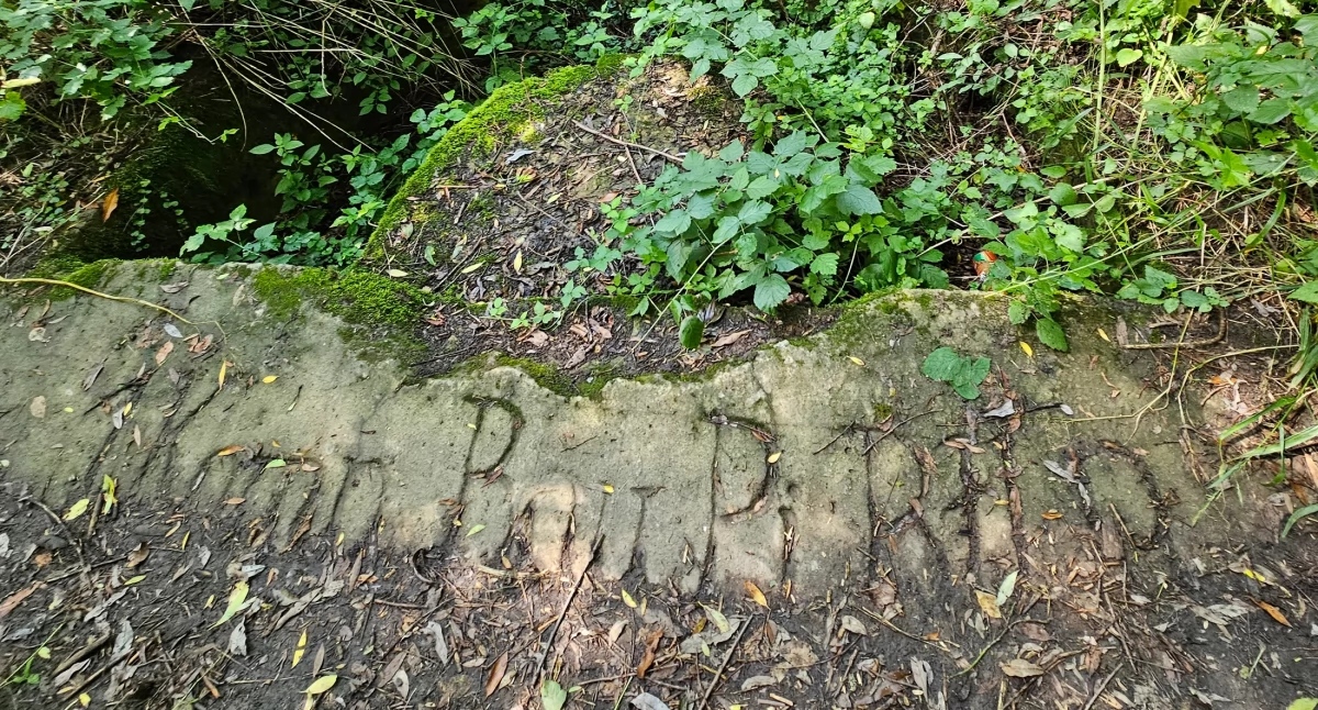 Turystyczny Szlak Patriotyczny Polski Walczącej: niemieckie umocnienia nad Wisłą (ZDJĘCIA)