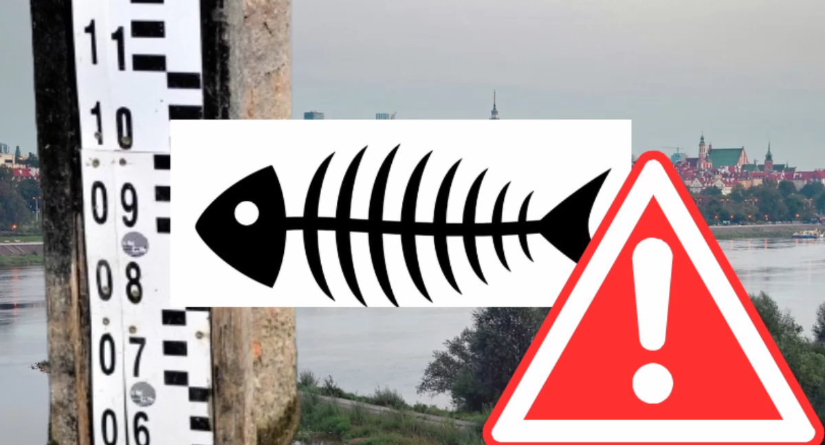 ALERT: niski poziom wody w Wiśle już pobił rekord