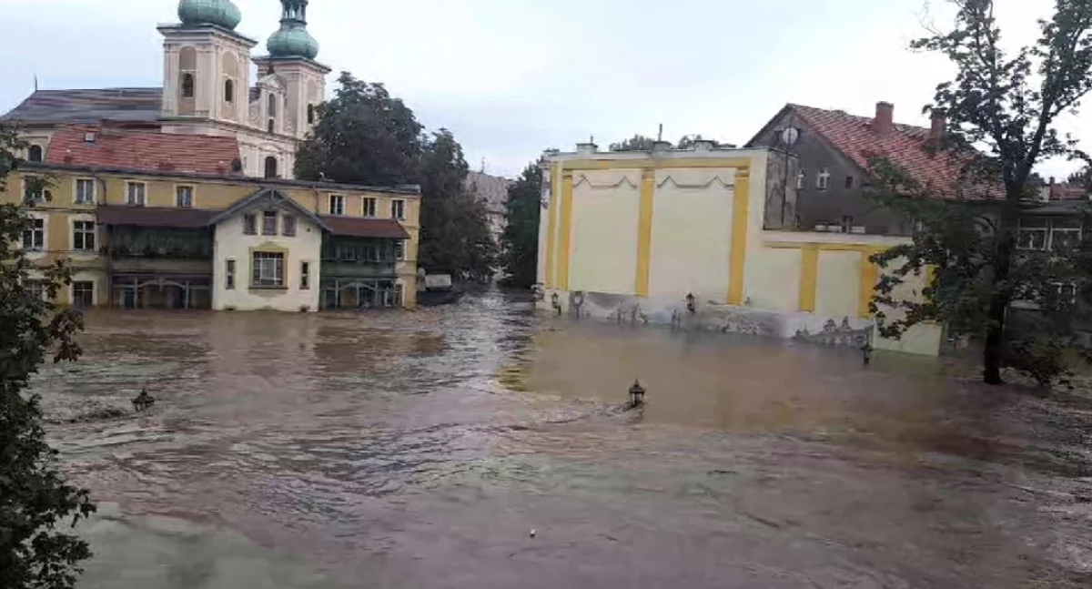 Psy z zalanego schroniska trafią do nas. Potrzebna pomoc!