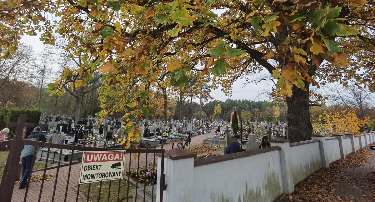 Ruszają linie cmentarne (TRASY, LINIE)