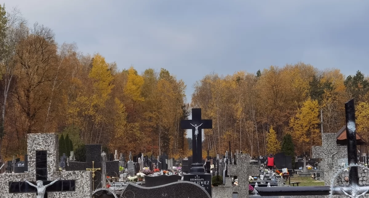 Wyszukiwarka grobów - jak to działa?