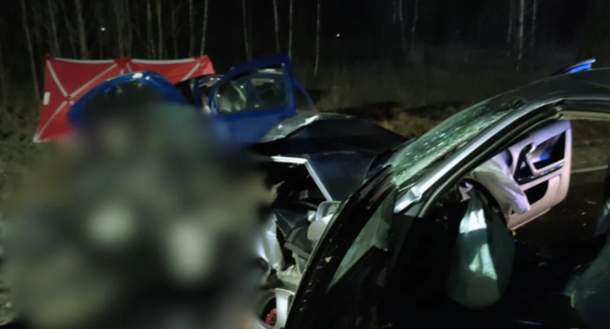 Śmiertelny wypadek na terenie gminy Przytyk (ZDJĘCIA)