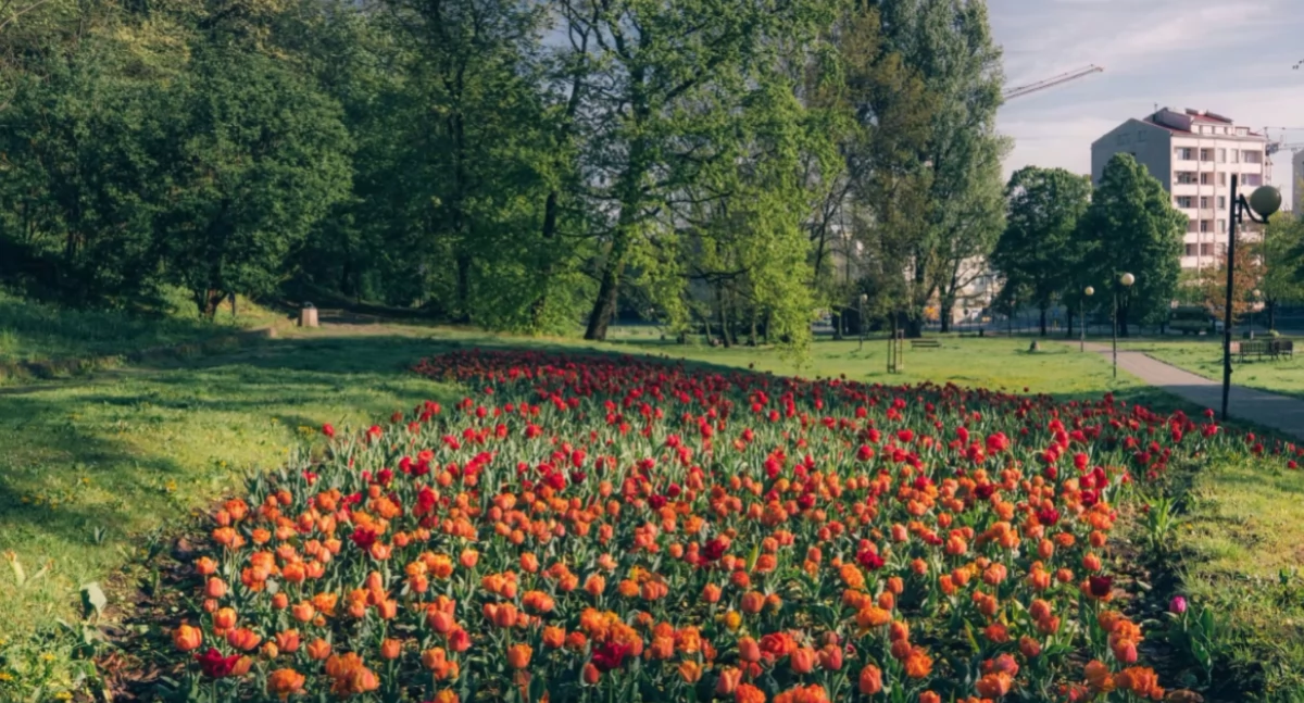 Będą zmiany na Powiślu. Już ogłoszono konkurs