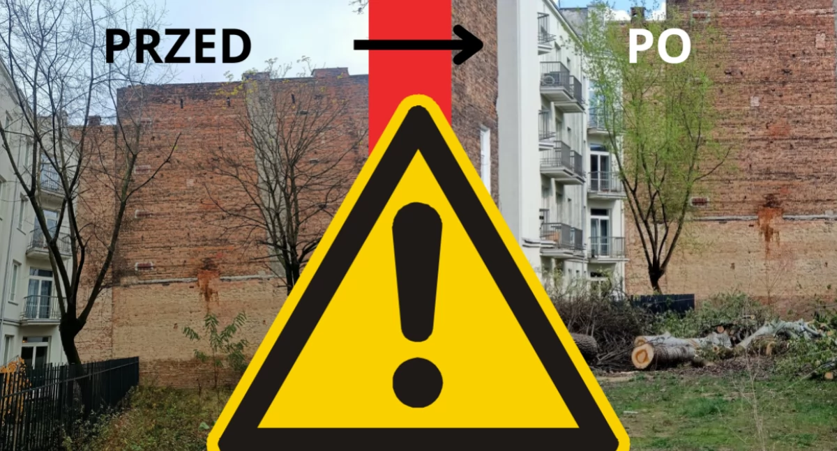 Zamiast przesadzić - wyciął. Nieodpowiedzialna akcja dewelopera na Pradze-Północ